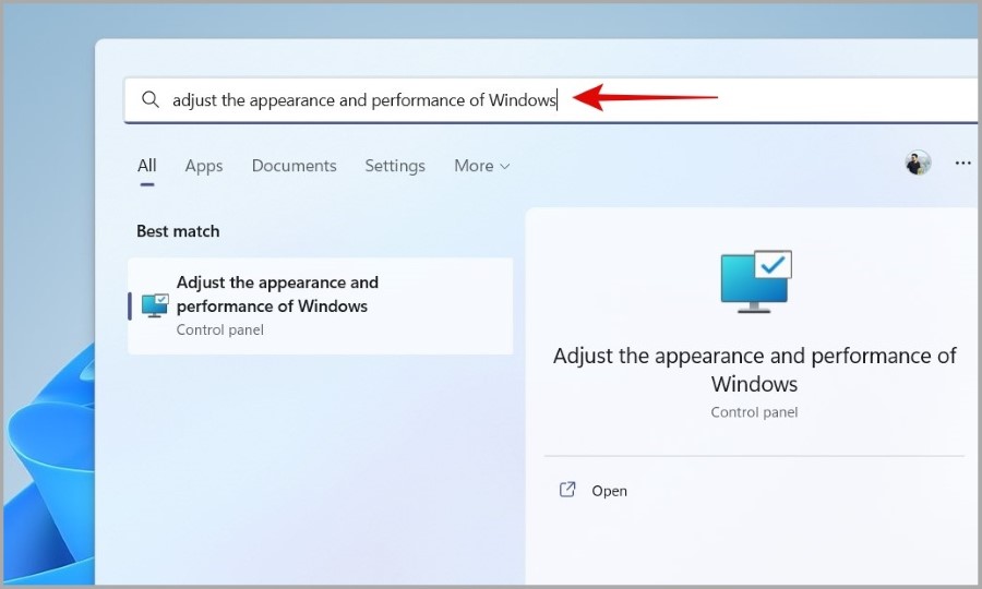 Open Performance Options on Windows 11