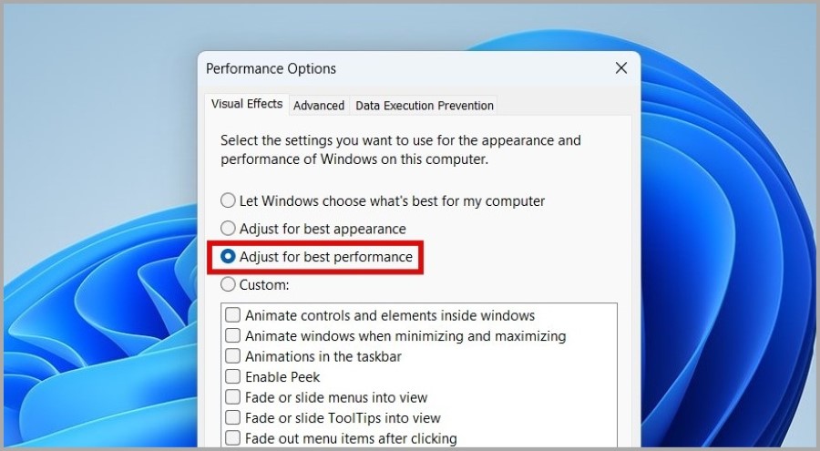 Performance Options on Windows 11