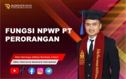 Fungsi Npwp PT Perorangan